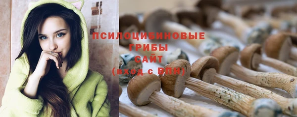 прущая мука Лагань