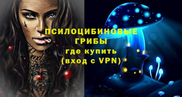 таблы Ладушкин