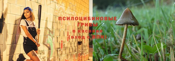 таблы Ладушкин