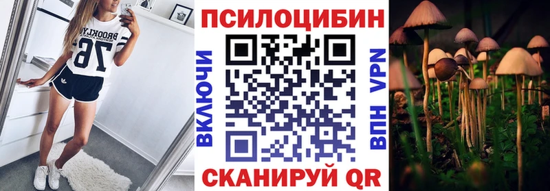 Псилоцибиновые грибы мицелий  Купить  Юрьев-Польский 