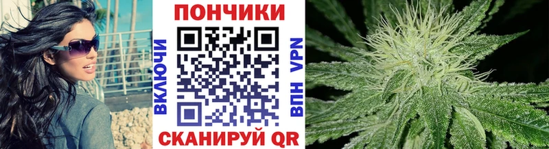 Купить  Юрьев-Польский  Бошки Шишки семена 